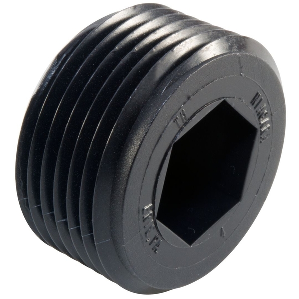 TH-5 NPT THREADED PLUG, HEX SOCKET