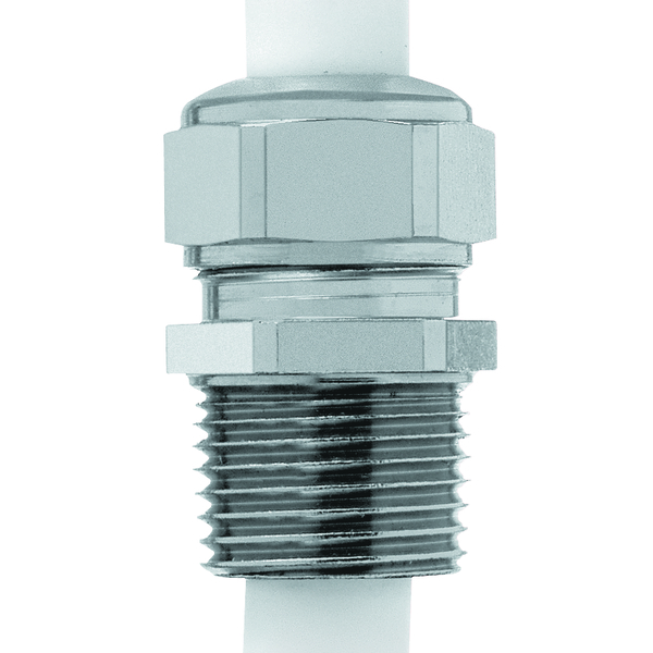 14892 BRASS CGHT NPT 1/4-050