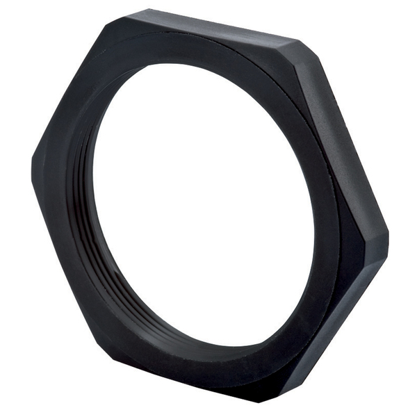 NP-21-BK PG21 Locking Nuts Black Nylon