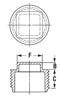 TPN-5 NPT THREADED PLUG, SQUARE HEAD