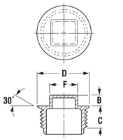 TPN-1-F NPT THREADED PLUG, SQUARE HEAD w/FLANGE