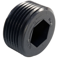 TH-1 NPT THREADED PLUG, HEX SOCKET