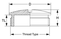 DP-07-BR PG7 Threaded Plug Nickel Plated Brass